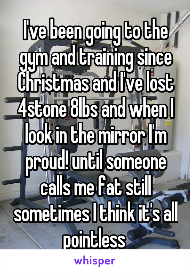I've been going to the gym and training since Christmas and I've lost 4stone 8lbs and when I look in the mirror I'm proud! until someone calls me fat still sometimes I think it's all pointless 