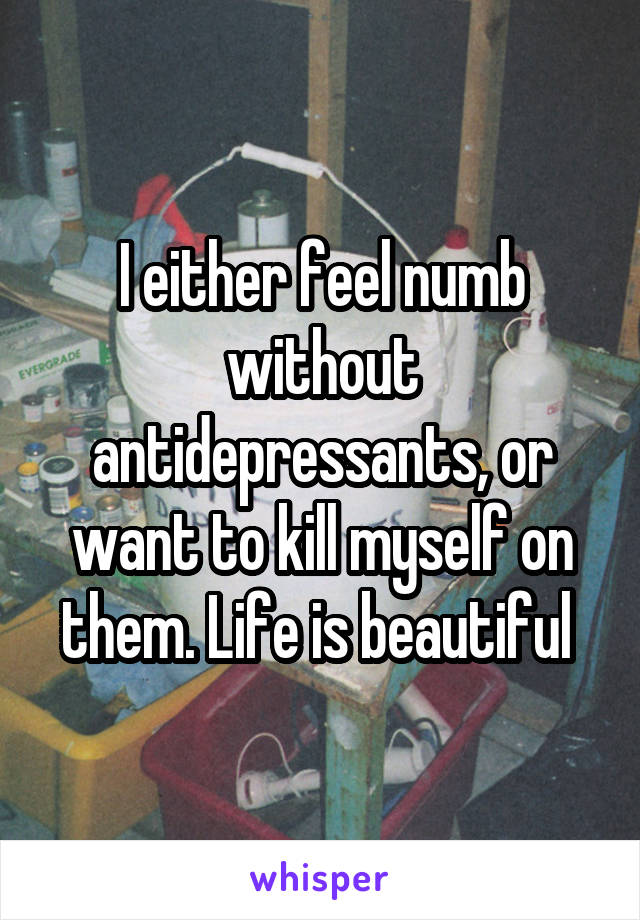 I either feel numb without antidepressants, or want to kill myself on them. Life is beautiful 