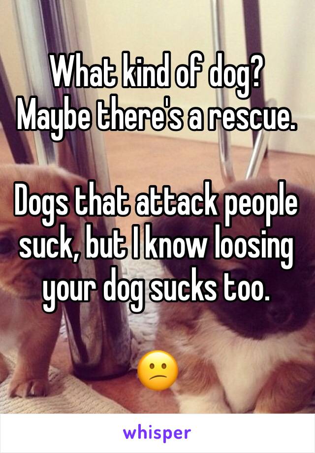 What kind of dog? Maybe there's a rescue.

Dogs that attack people suck, but I know loosing your dog sucks too. 

😕