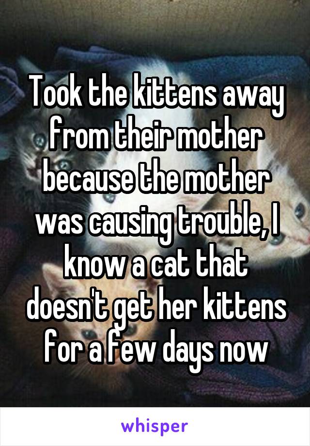 Took the kittens away from their mother because the mother was causing trouble, I know a cat that doesn't get her kittens for a few days now