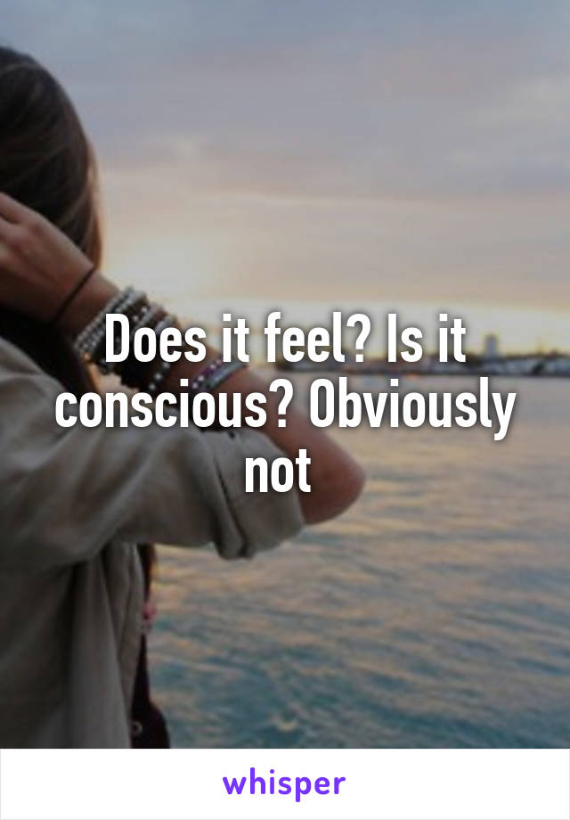 Does it feel? Is it conscious? Obviously not 