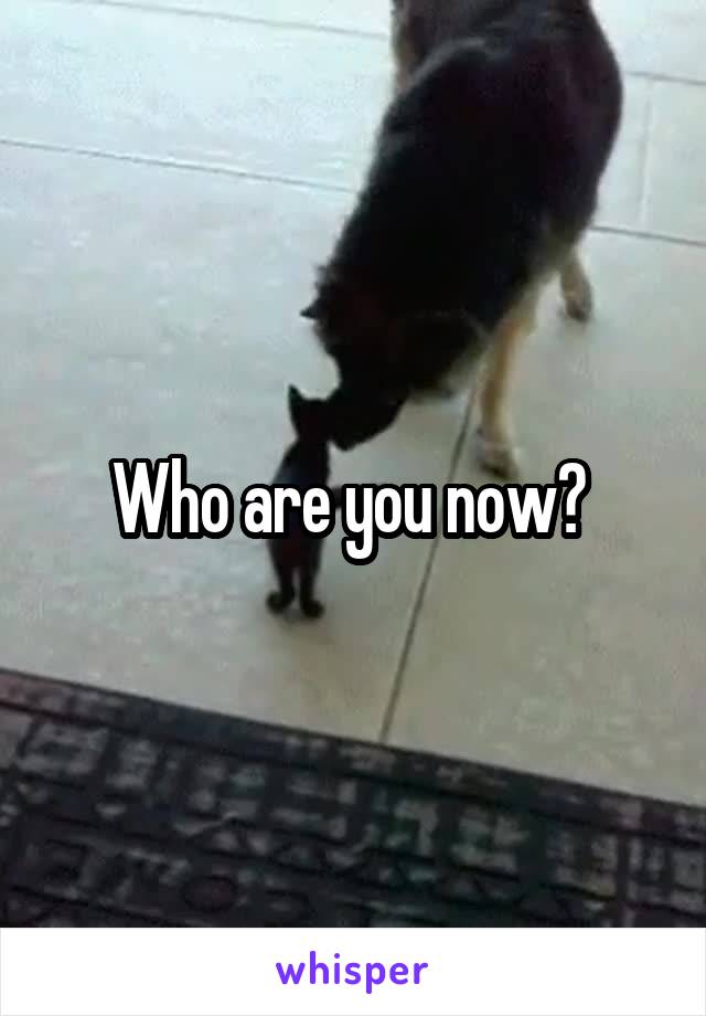 Who are you now? 