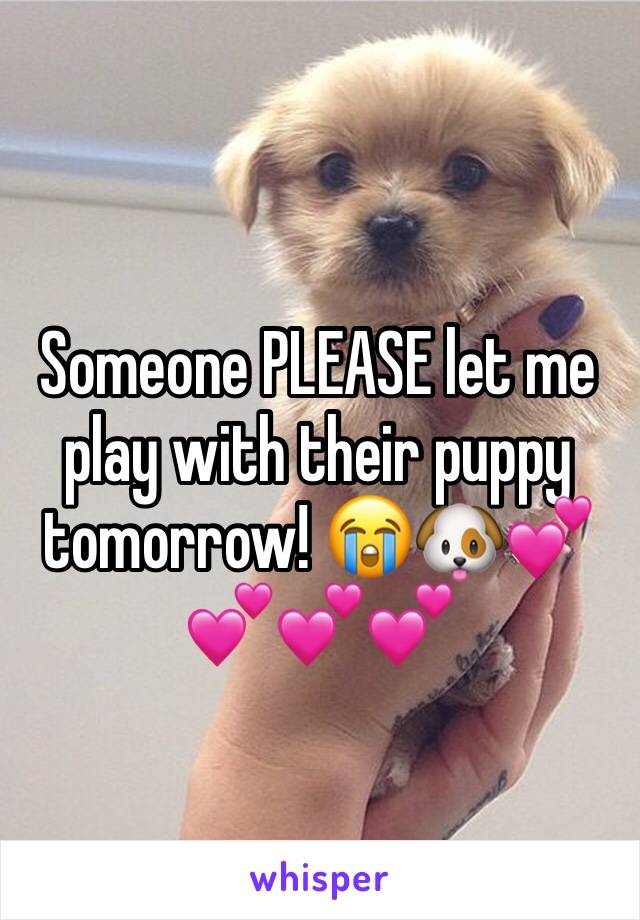 Someone PLEASE let me play with their puppy tomorrow! 😭🐶💕💕💕💕