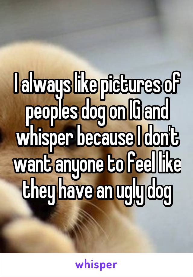 I always like pictures of peoples dog on IG and whisper because I don't want anyone to feel like they have an ugly dog