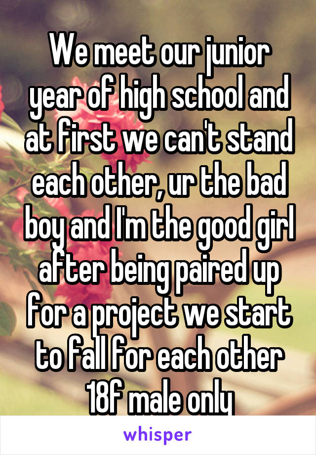 We meet our junior year of high school and at first we can't stand each other, ur the bad boy and I'm the good girl after being paired up for a project we start to fall for each other
18f male only