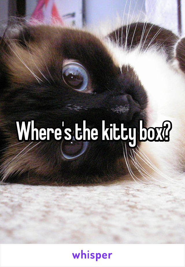 Where's the kitty box?
