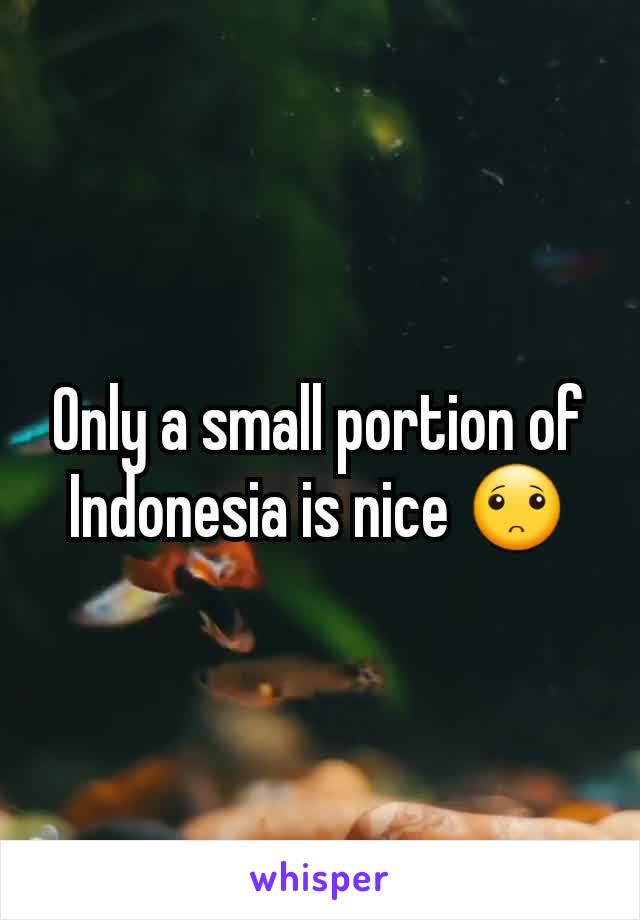 Only a small portion of Indonesia is nice 🙁