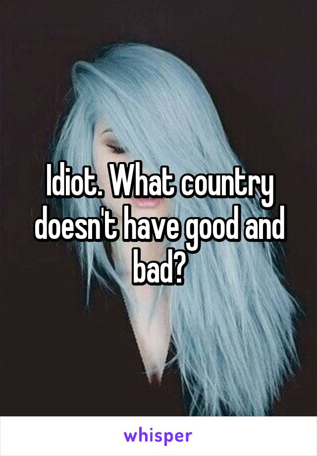 Idiot. What country doesn't have good and bad?