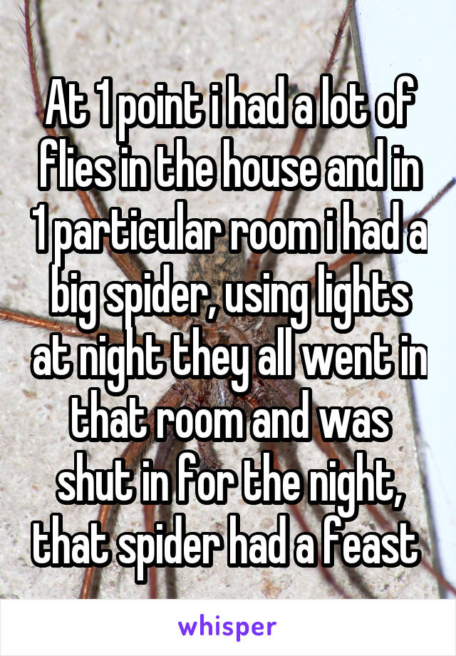 At 1 point i had a lot of flies in the house and in 1 particular room i had a big spider, using lights at night they all went in that room and was shut in for the night, that spider had a feast 