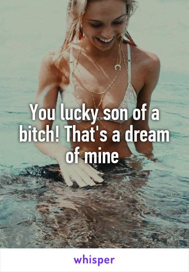 You lucky son of a bitch! That's a dream of mine 