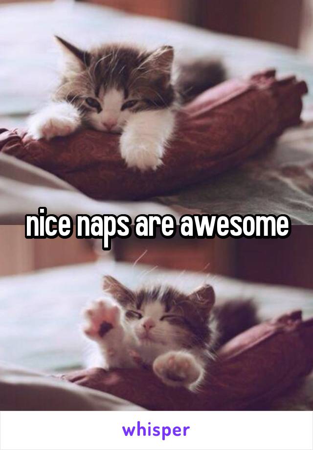 nice naps are awesome