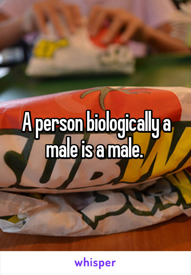 A person biologically a male is a male. 