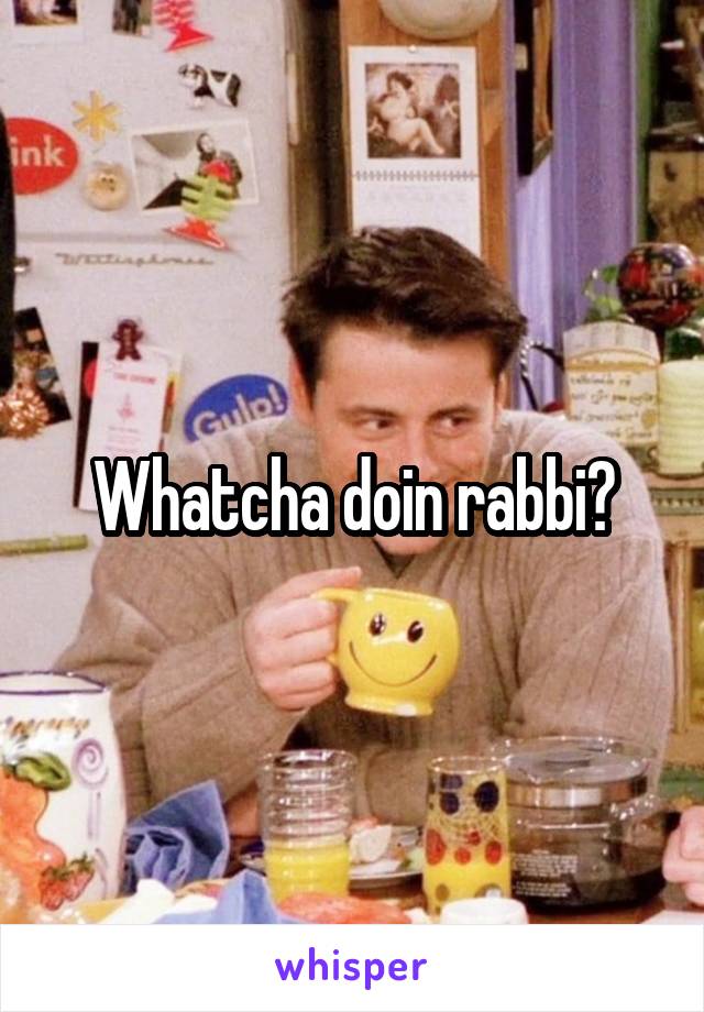 Whatcha doin rabbi?