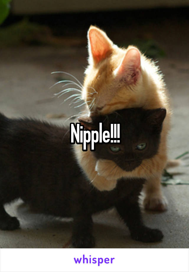 Nipple!!!