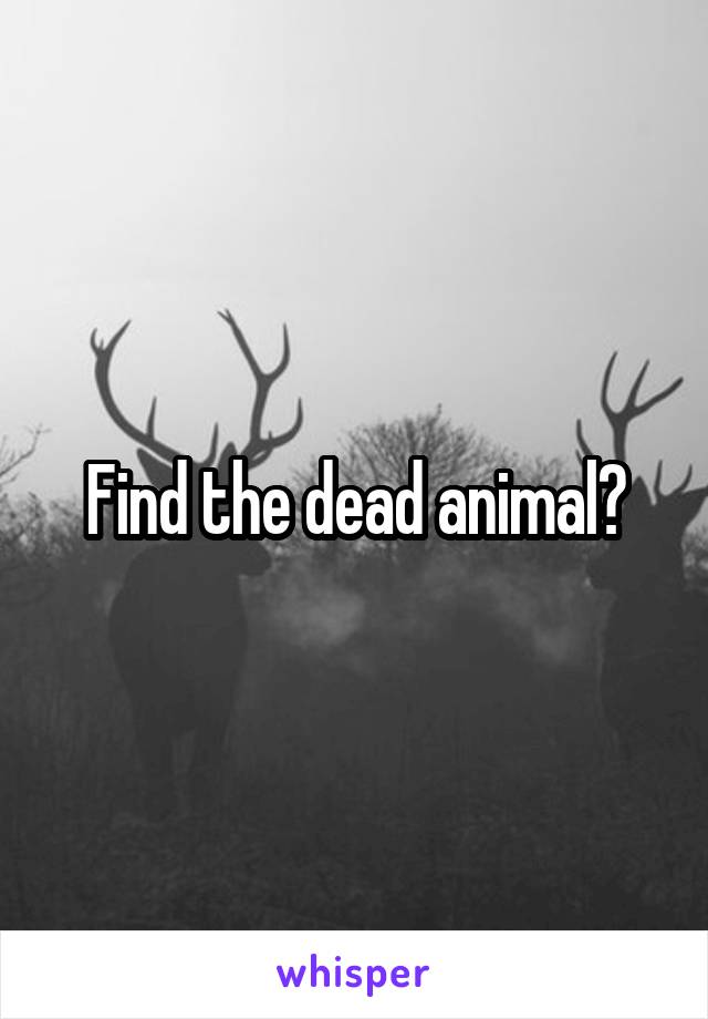 Find the dead animal?