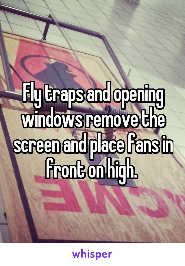 Fly traps and opening windows remove the screen and place fans in front on high. 