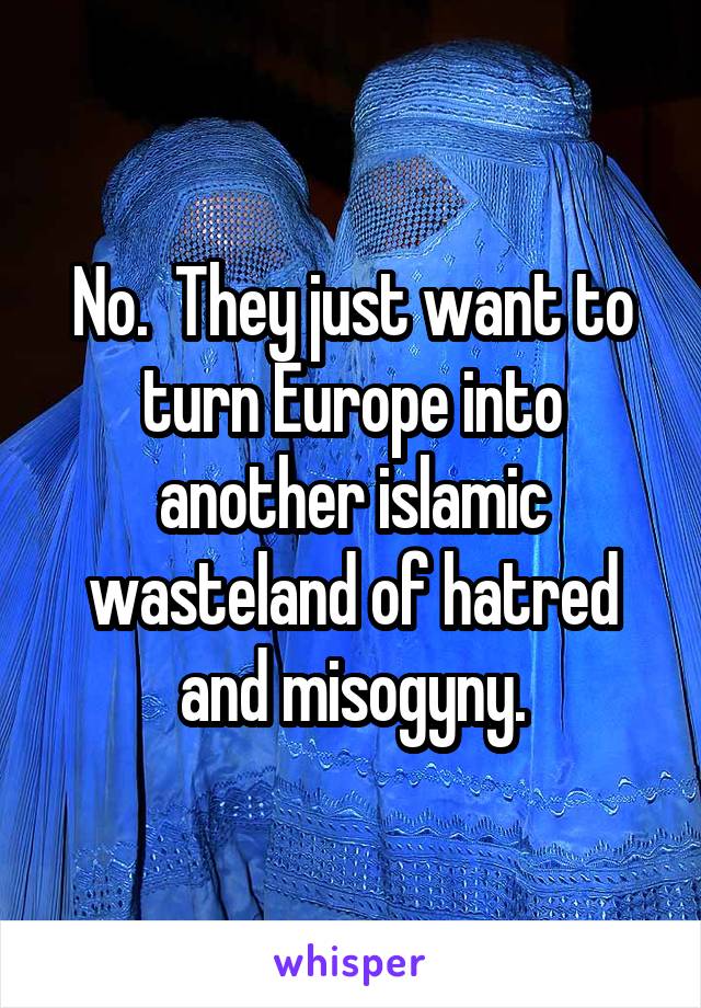 No.  They just want to turn Europe into another islamic wasteland of hatred and misogyny.