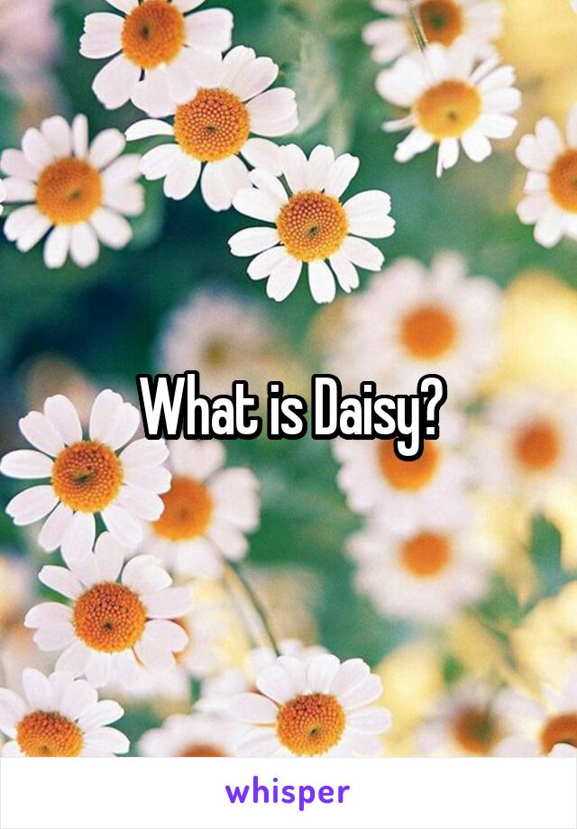 What is Daisy?