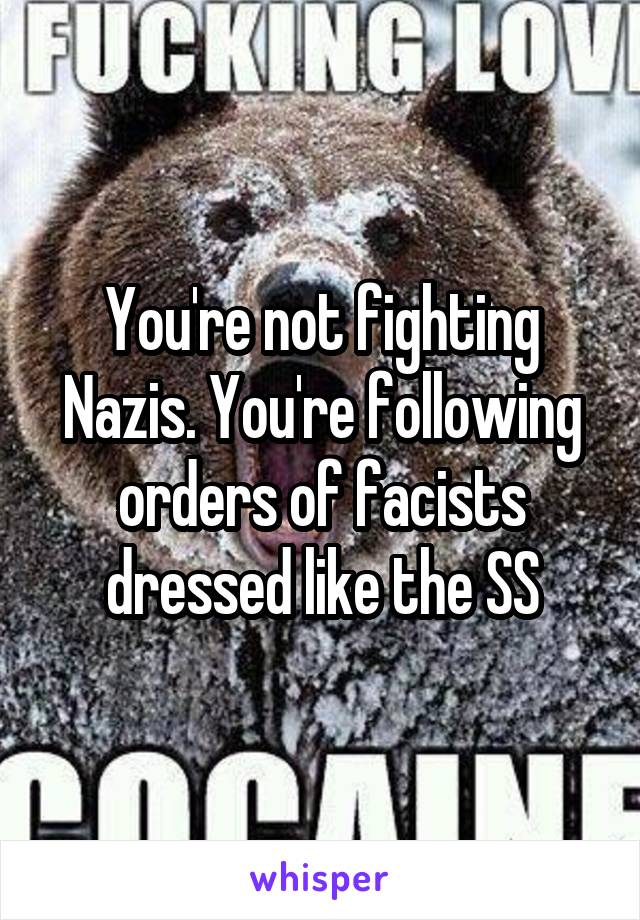 You're not fighting Nazis. You're following orders of facists dressed like the SS