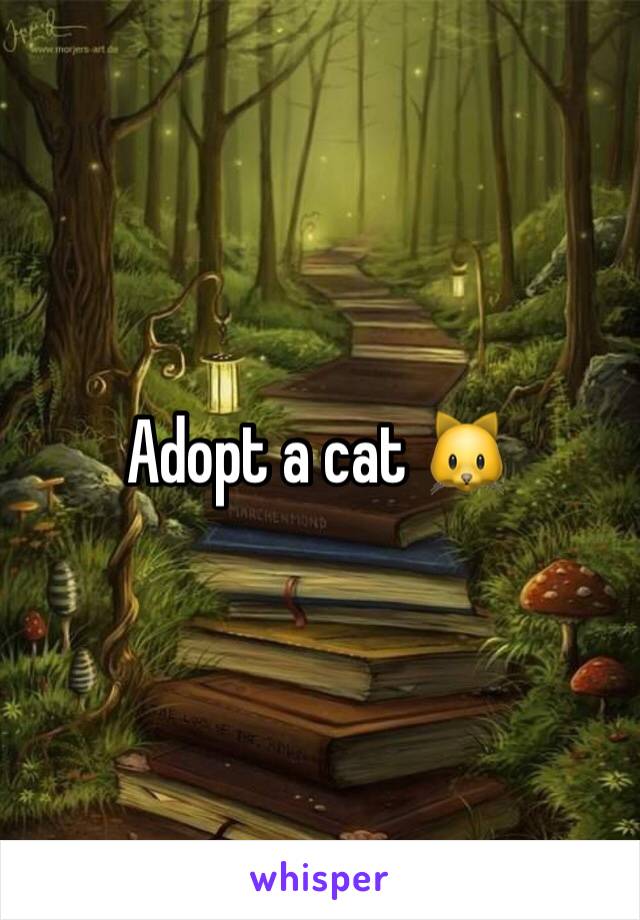 Adopt a cat 🐱