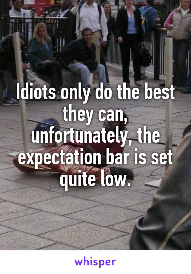 Idiots only do the best they can, unfortunately, the expectation bar is set quite low.