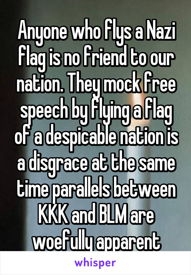 Anyone who flys a Nazi flag is no friend to our nation. They mock free speech by flying a flag of a despicable nation is a disgrace at the same time parallels between KKK and BLM are woefully apparent