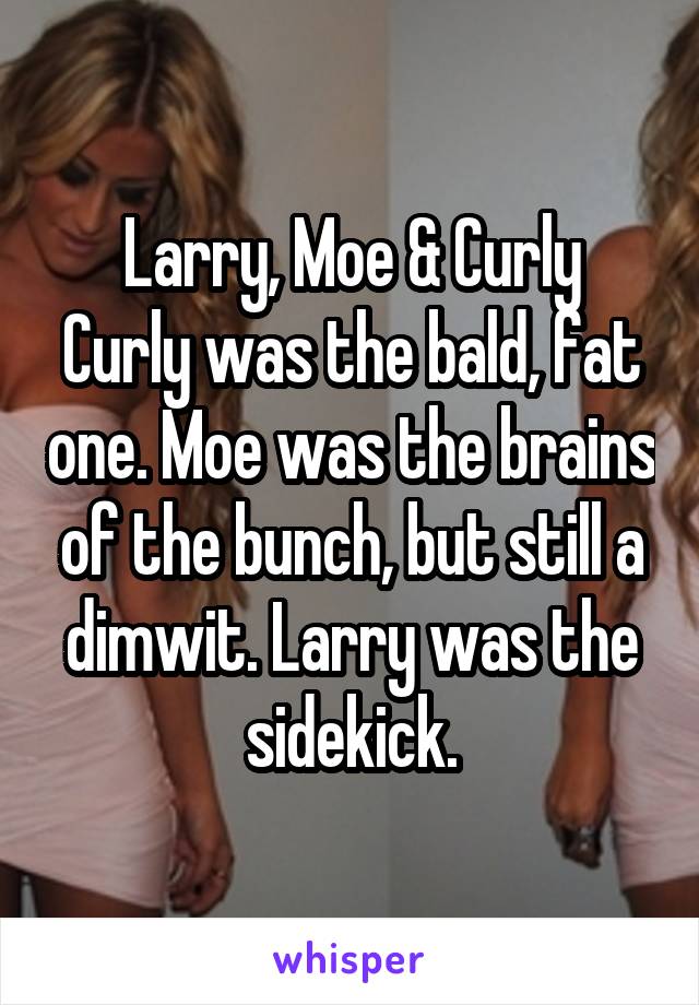 Larry, Moe & Curly
Curly was the bald, fat one. Moe was the brains of the bunch, but still a dimwit. Larry was the sidekick.