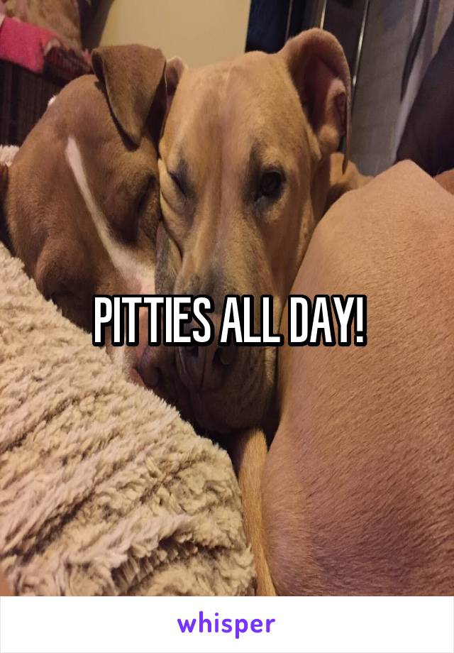 PITTIES ALL DAY!
