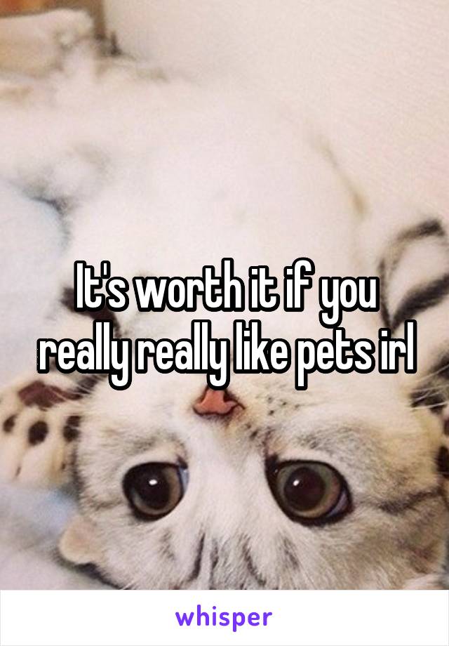 It's worth it if you really really like pets irl