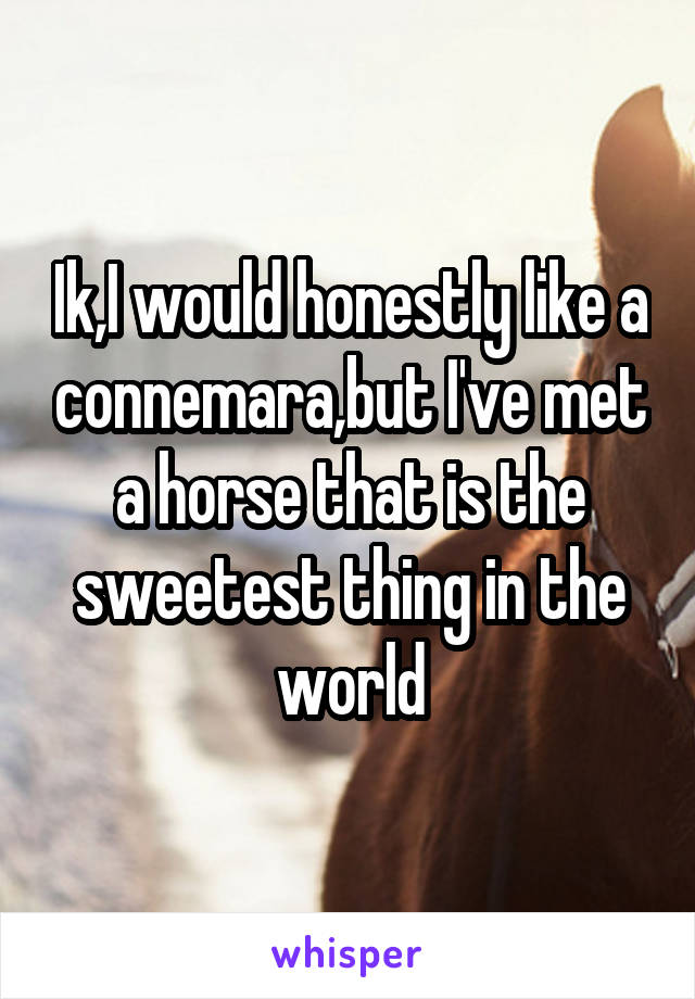 Ik,I would honestly like a connemara,but I've met a horse that is the sweetest thing in the world