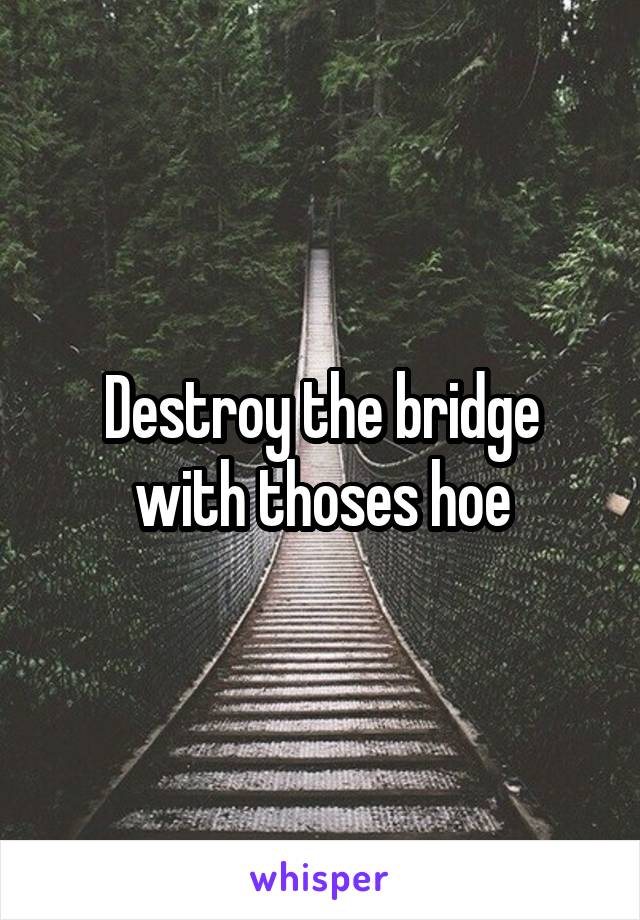 Destroy the bridge with thoses hoe