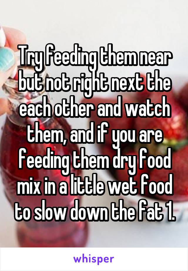 Try feeding them near but not right next the each other and watch them, and if you are feeding them dry food mix in a little wet food to slow down the fat 1.