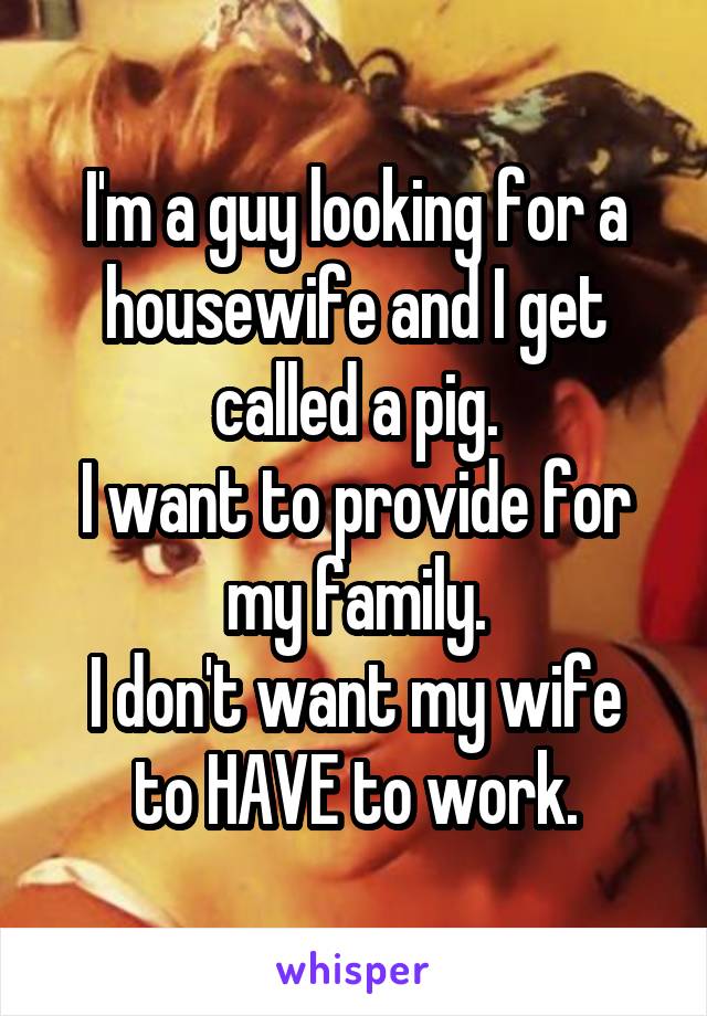 I'm a guy looking for a housewife and I get called a pig.
I want to provide for my family.
I don't want my wife to HAVE to work.