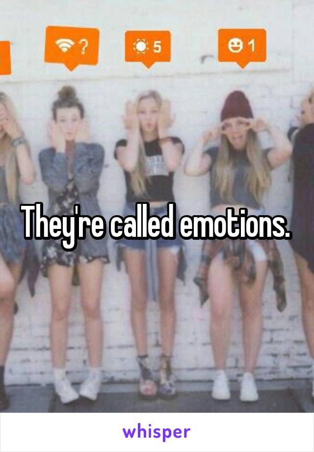They're called emotions. 