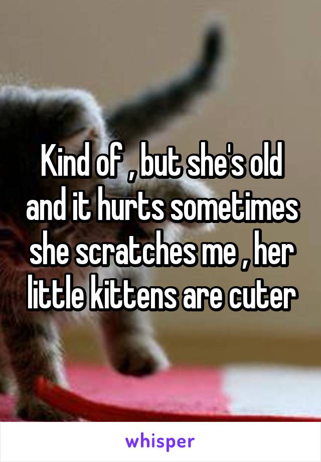 Kind of , but she's old and it hurts sometimes she scratches me , her little kittens are cuter