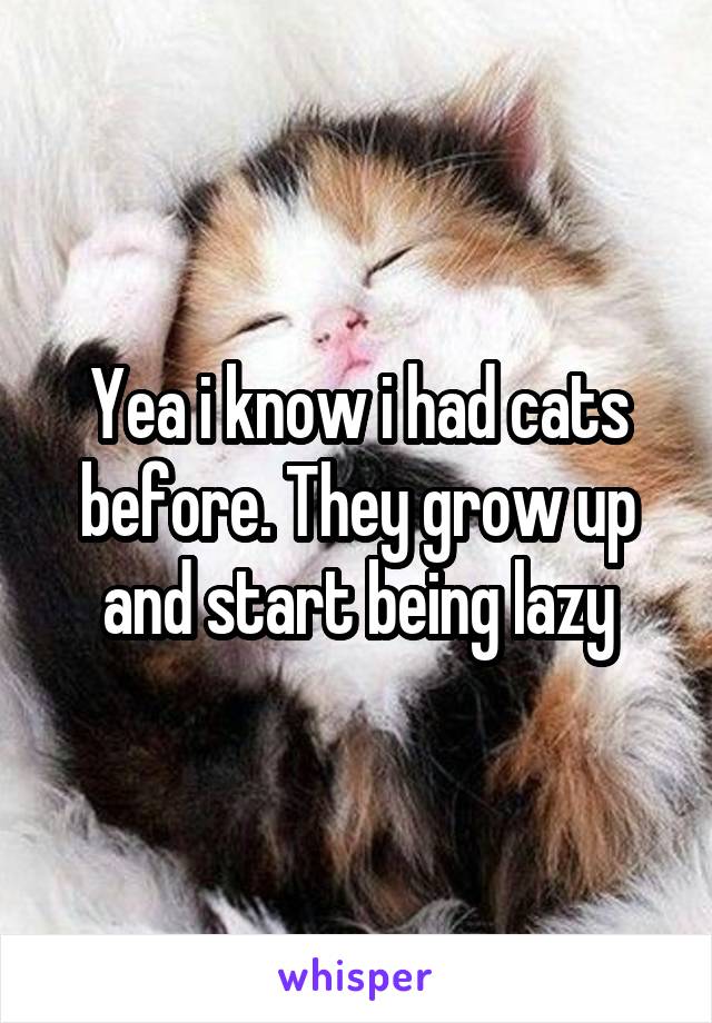 Yea i know i had cats before. They grow up and start being lazy