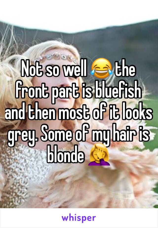 Not so well 😂 the front part is bluefish and then most of it looks grey. Some of my hair is blonde 🤦‍♀️