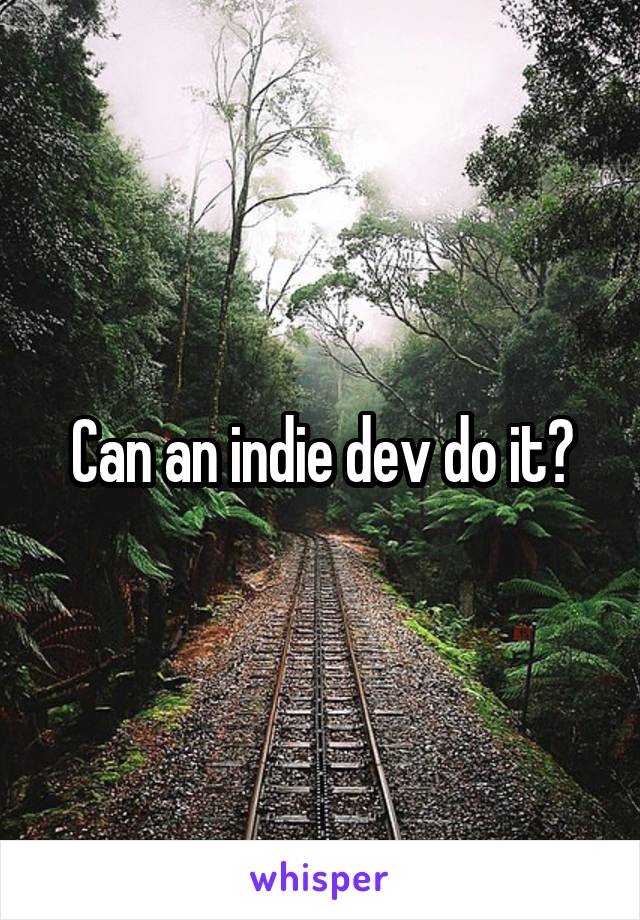 Can an indie dev do it?