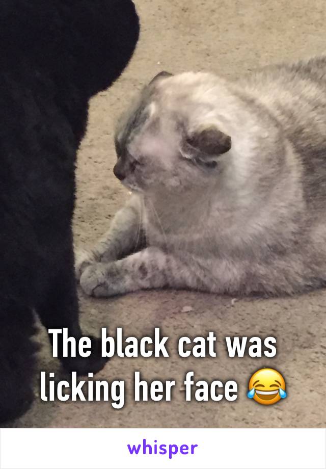 The black cat was licking her face 😂 