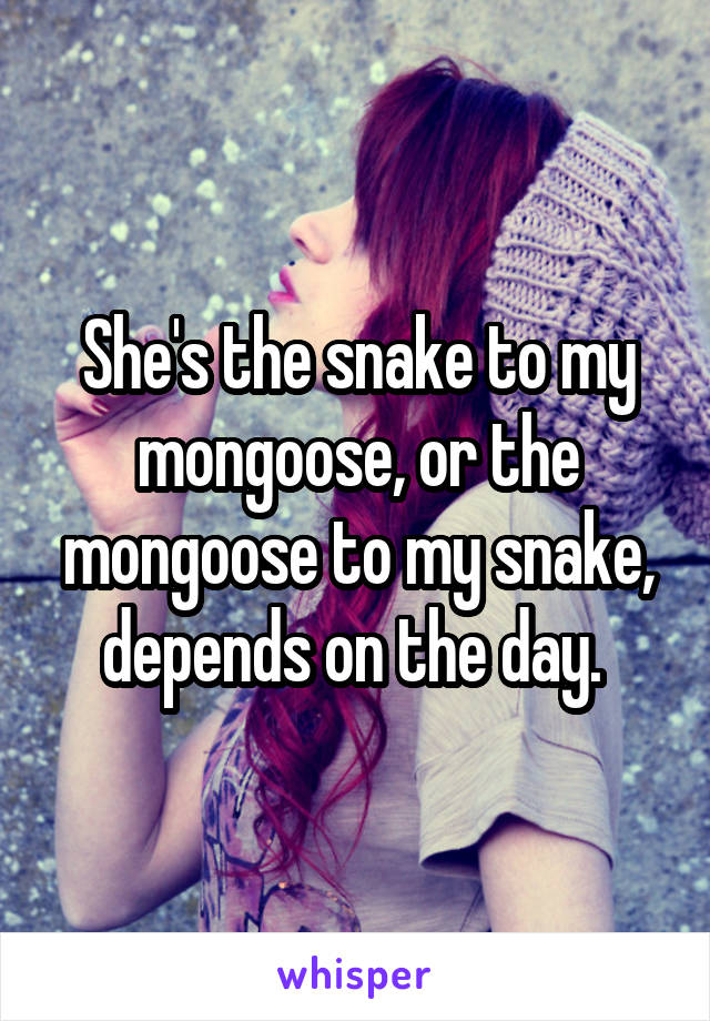 She's the snake to my mongoose, or the mongoose to my snake, depends on the day. 