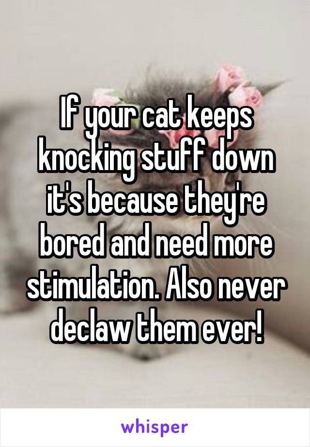 If your cat keeps knocking stuff down it's because they're bored and need more stimulation. Also never declaw them ever!