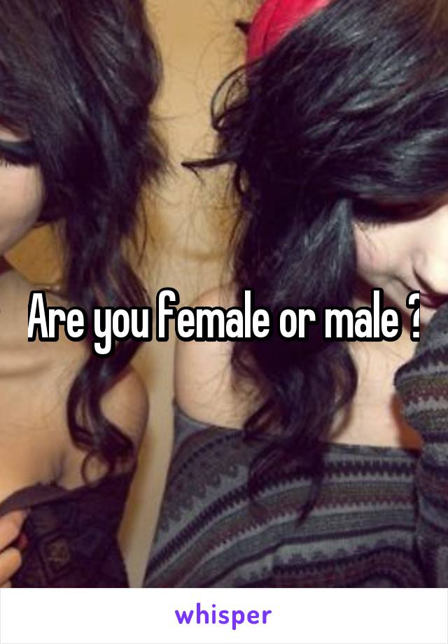 Are you female or male ?
