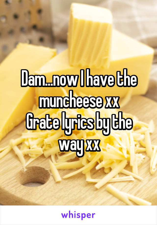 Dam...now I have the muncheese xx
Grate lyrics by the way xx