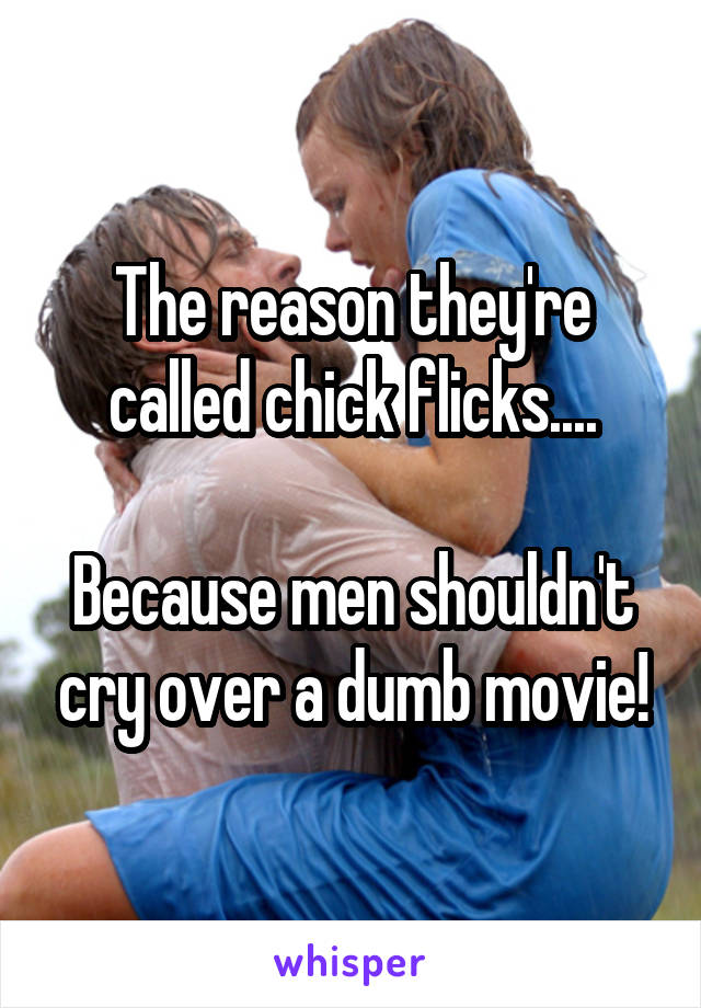 The reason they're called chick flicks....

Because men shouldn't cry over a dumb movie!