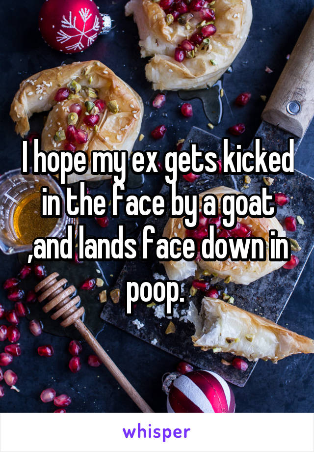 I hope my ex gets kicked in the face by a goat ,and lands face down in poop. 