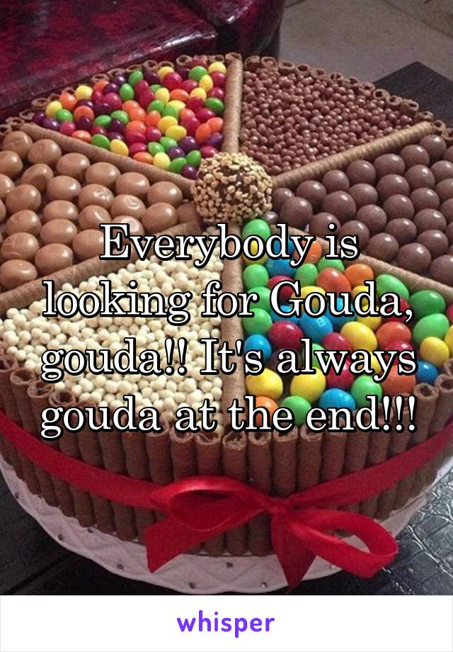 Everybody is looking for Gouda, gouda!! It's always gouda at the end!!!