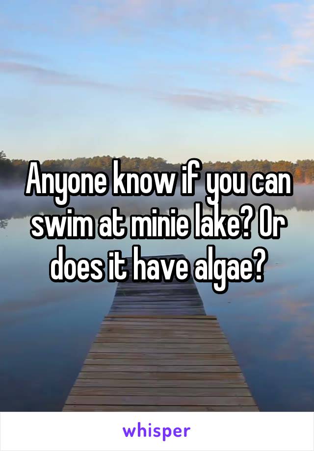 Anyone know if you can swim at minie lake? Or does it have algae?
