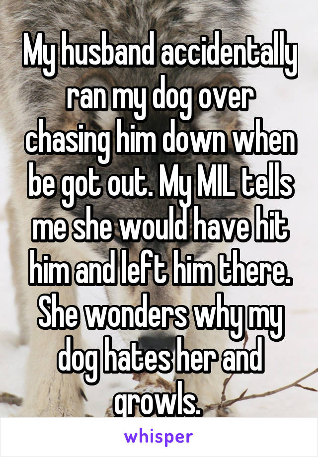 My husband accidentally ran my dog over chasing him down when be got out. My MIL tells me she would have hit him and left him there. She wonders why my dog hates her and growls. 