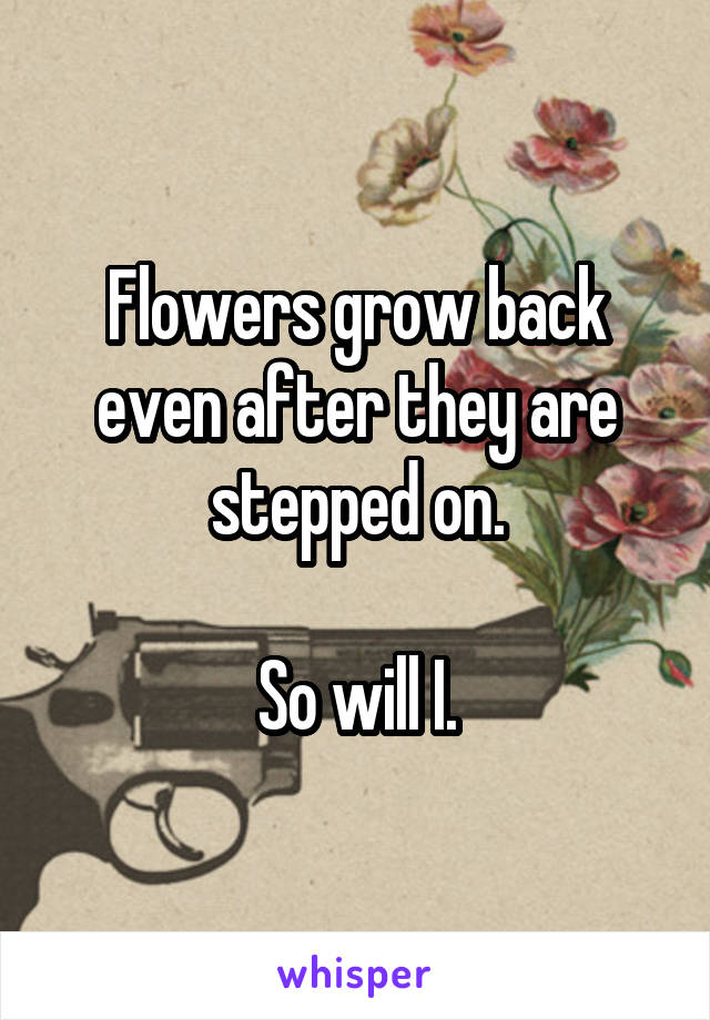 Flowers grow back even after they are stepped on.

So will I.