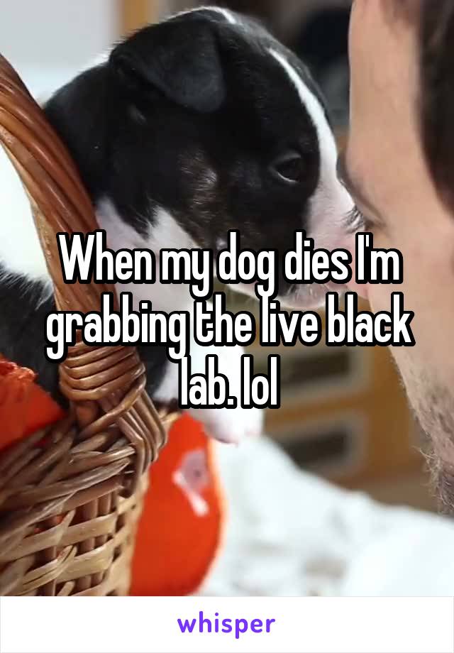When my dog dies I'm grabbing the live black lab. lol